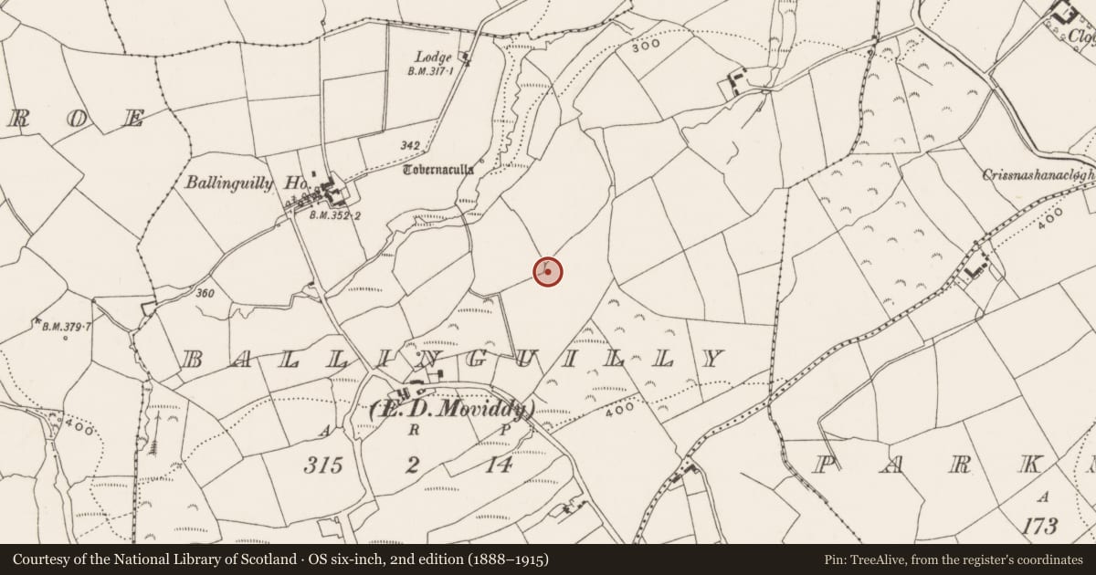 Ordnance Survey six-inch map, 2nd edition (1888–1915) covering the location of Fulacht fia, Ballinguilly (Muskerry East By., Moviddy Par.), County Cork, with a pin at the register's coordinates