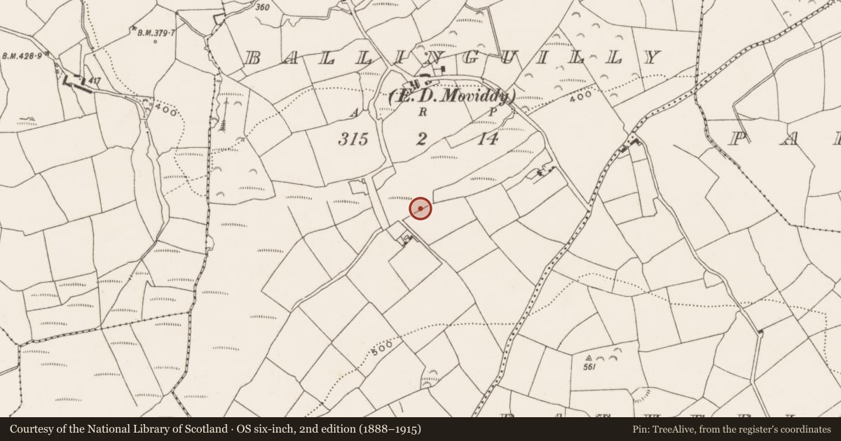Ordnance Survey six-inch map, 2nd edition (1888–1915) covering the location of Fulacht fia, Ballinguilly (Muskerry East By., Moviddy Par.), County Cork, with a pin at the register's coordinates