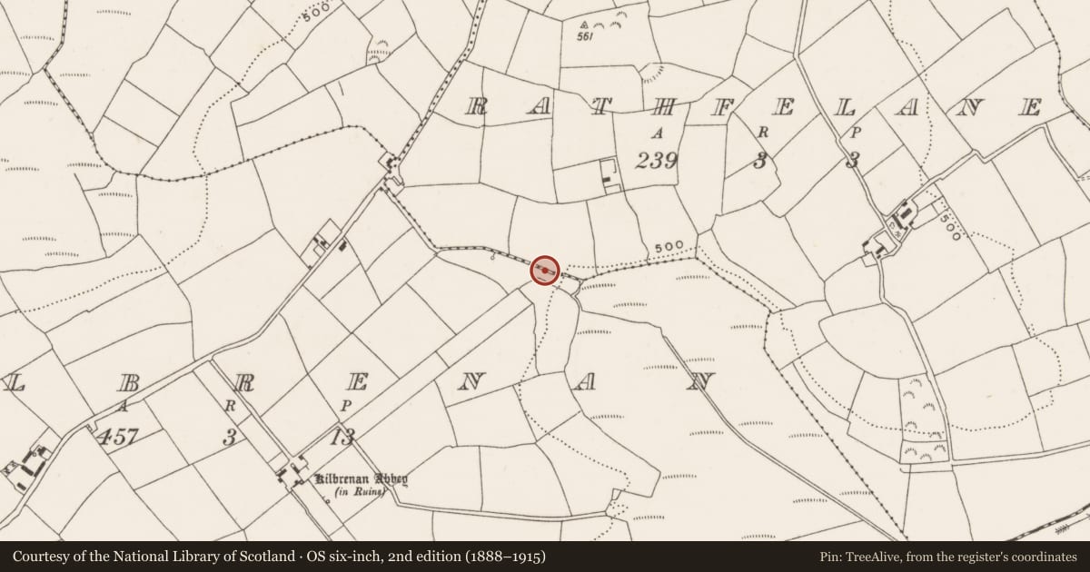 Ordnance Survey six-inch map, 2nd edition (1888–1915) covering the location of Fulacht fia, Rathfelane, County Cork, with a pin at the register's coordinates