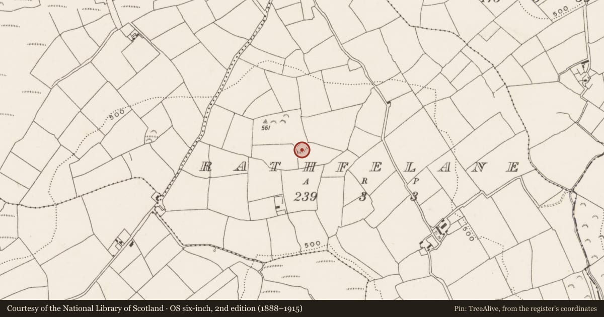Ordnance Survey six-inch map, 2nd edition (1888–1915) covering the location of Ringfort - rath, Rathfelane, County Cork, with a pin at the register's coordinates