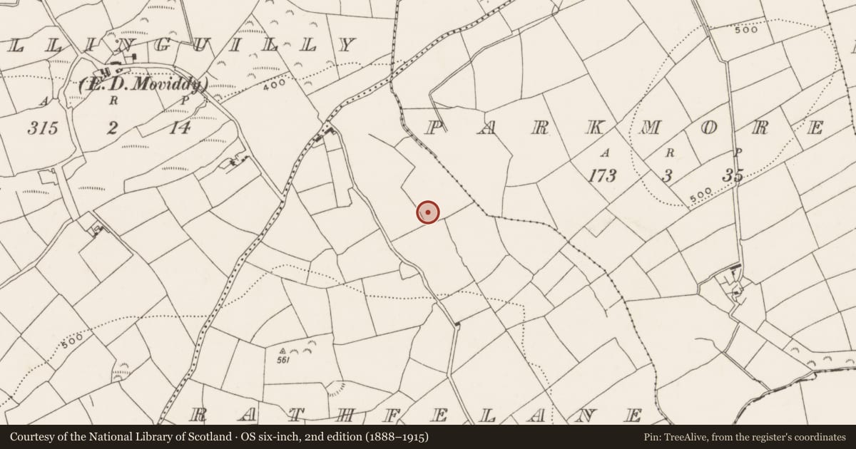 Ordnance Survey six-inch map, 2nd edition (1888–1915) covering the location of Fulacht fia, Rathfelane, County Cork, with a pin at the register's coordinates