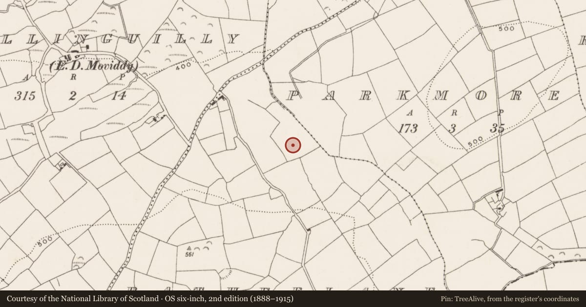 Ordnance Survey six-inch map, 2nd edition (1888–1915) covering the location of Fulacht fia, Rathfelane, County Cork, with a pin at the register's coordinates