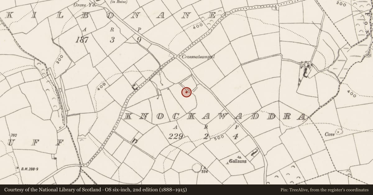 Ordnance Survey six-inch map, 2nd edition (1888–1915) covering the location of Fulacht fia, Knockawaddra, County Cork, with a pin at the register's coordinates