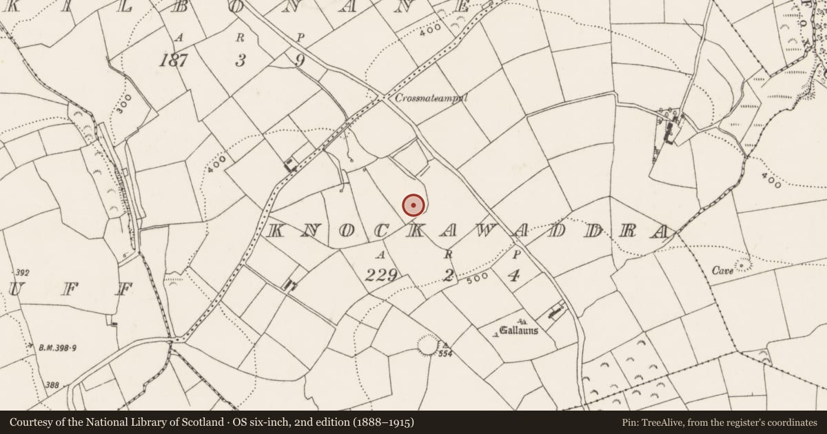Ordnance Survey six-inch map, 2nd edition (1888–1915) covering the location of Fulacht fia, Knockawaddra, County Cork, with a pin at the register's coordinates