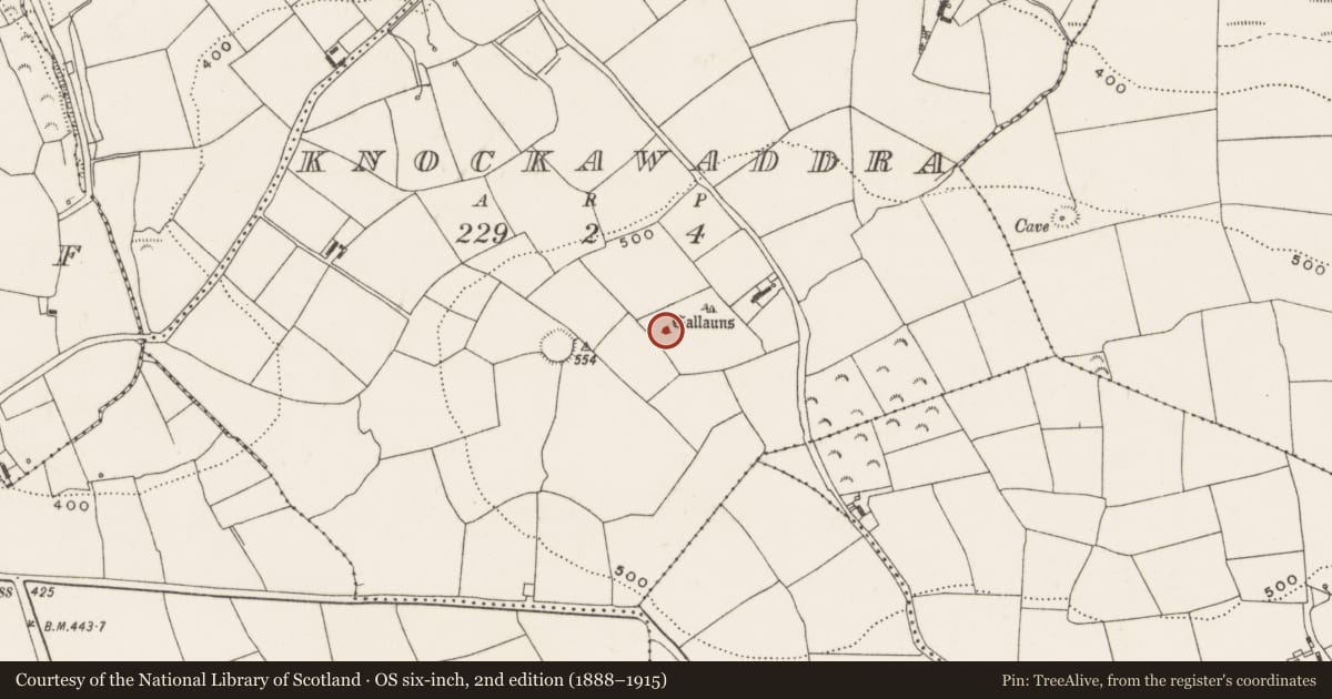 Ordnance Survey six-inch map, 2nd edition (1888–1915) covering the location of Standing stone, Knockawaddra, County Cork, with a pin at the register's coordinates