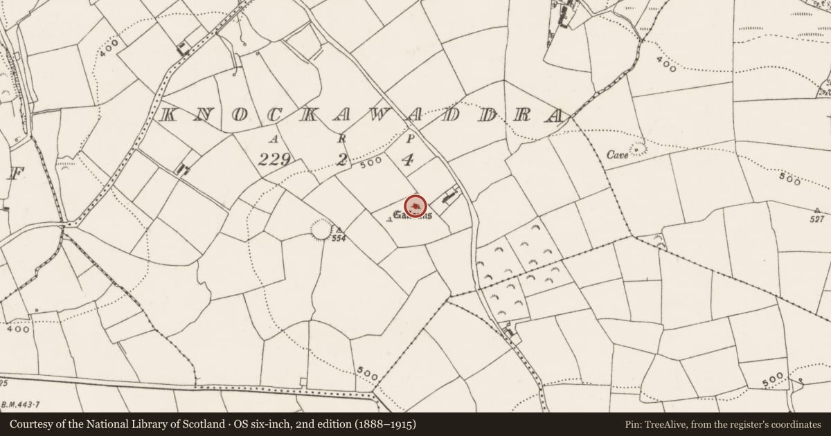 Ordnance Survey six-inch map, 2nd edition (1888–1915) covering the location of Anomalous stone group, Knockawaddra, County Cork, with a pin at the register's coordinates