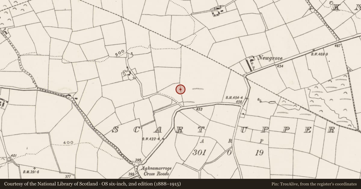 Ordnance Survey six-inch map, 2nd edition (1888–1915) covering the location of Fulacht fia, Scart Upper, County Cork, with a pin at the register's coordinates