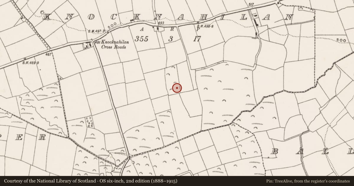 Ordnance Survey six-inch map, 2nd edition (1888–1915) covering the location of Fulacht fia, Knocknahilan, County Cork, with a pin at the register's coordinates