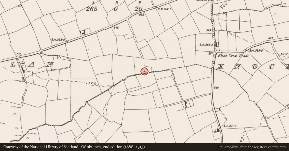 Ordnance Survey six-inch map, 2nd edition (1888–1915) covering the location of Fulacht fia, Kilbane, County Cork, with a pin at the register's coordinates