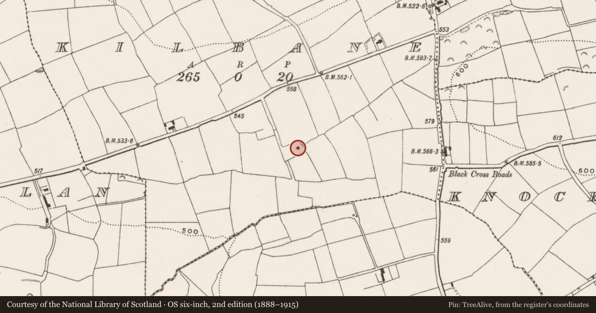 Ordnance Survey six-inch map, 2nd edition (1888–1915) covering the location of Burial ground, Kilbane, County Cork, with a pin at the register's coordinates