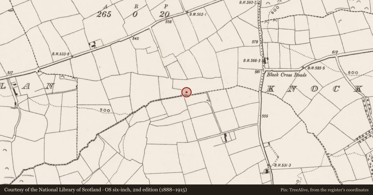 Ordnance Survey six-inch map, 2nd edition (1888–1915) covering the location of Fulacht fia, Kilbane, County Cork, with a pin at the register's coordinates