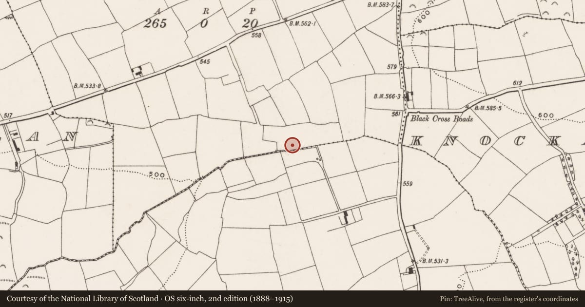 Ordnance Survey six-inch map, 2nd edition (1888–1915) covering the location of Fulacht fia, Kilbane, County Cork, with a pin at the register's coordinates