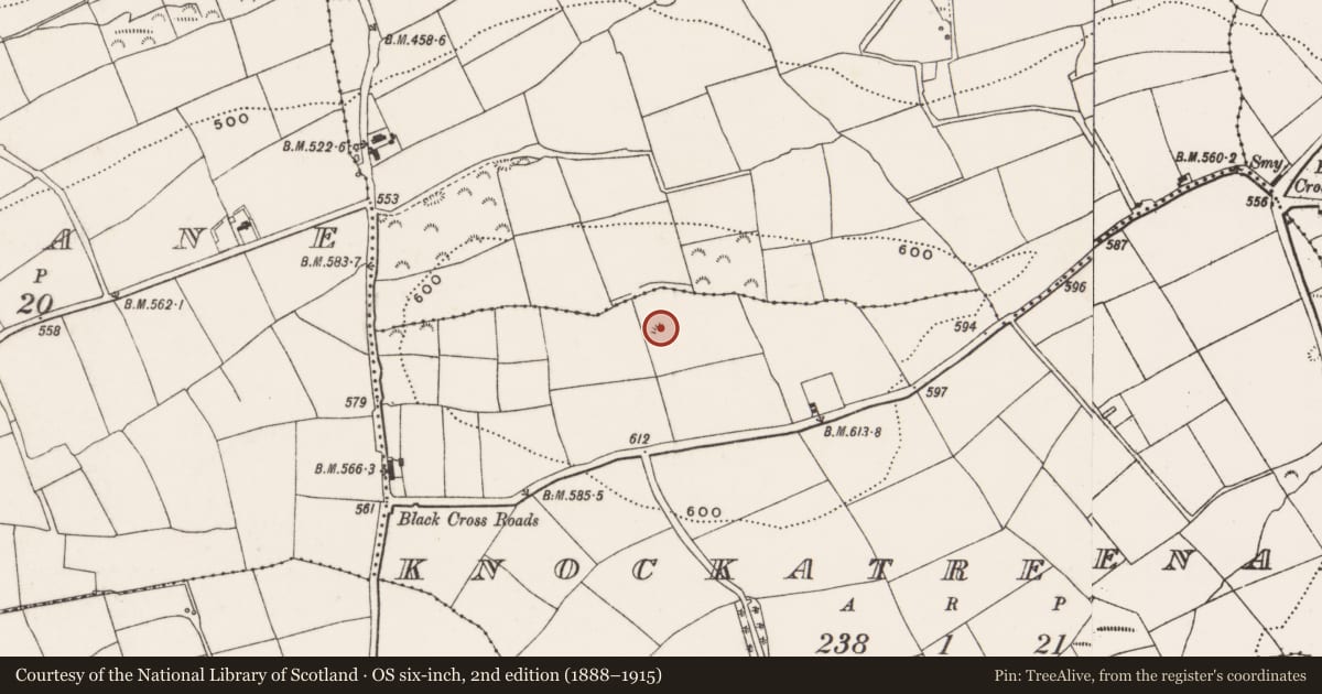 Ordnance Survey six-inch map, 2nd edition (1888–1915) covering the location of Barrow - ring-barrow, Knockatreenane, County Cork, with a pin at the register's coordinates