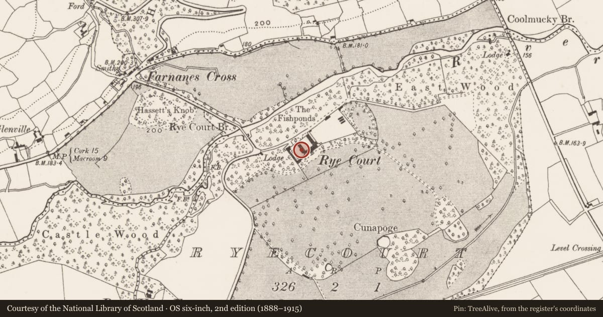 Ordnance Survey six-inch map, 2nd edition (1888–1915) covering the location of Country house, Ryecourt, County Cork, with a pin at the register's coordinates