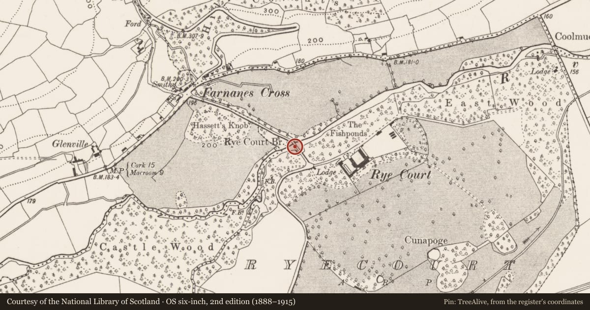 Ordnance Survey six-inch map, 2nd edition (1888–1915) covering the location of Bridge, Ryecourt, County Cork, with a pin at the register's coordinates