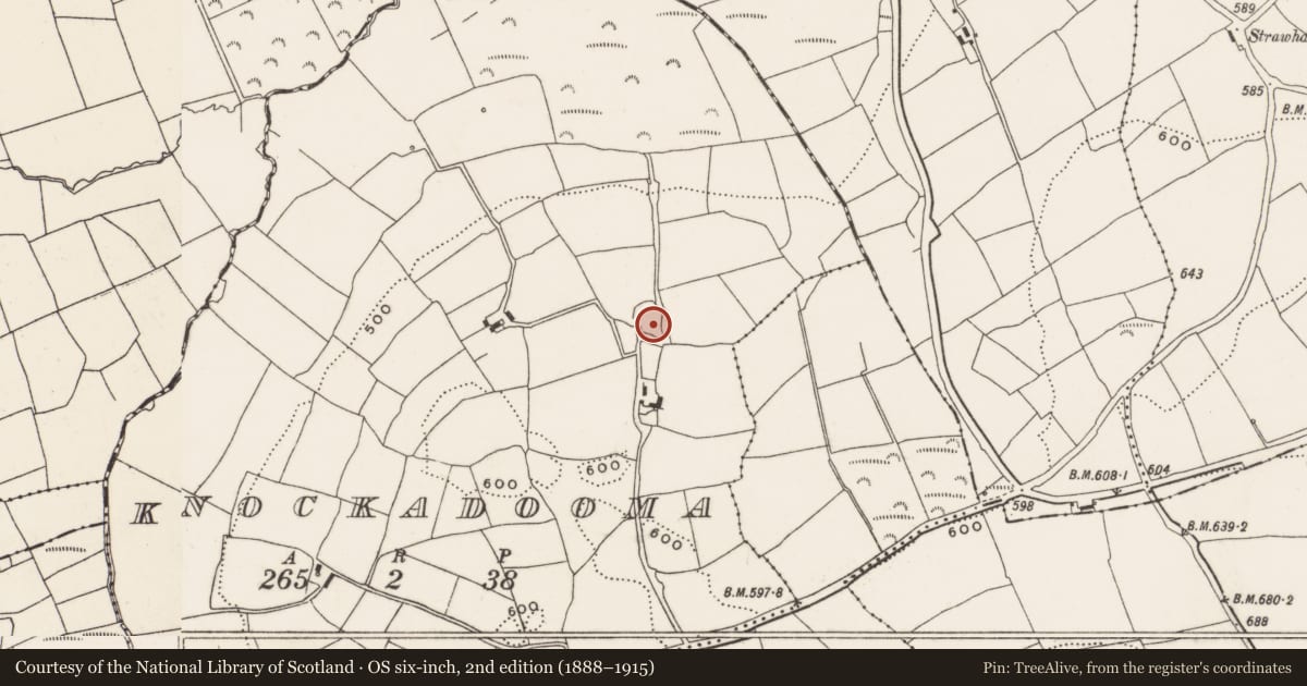 Ordnance Survey six-inch map, 2nd edition (1888–1915) covering the location of Enclosure, Knockadooma, County Cork, with a pin at the register's coordinates