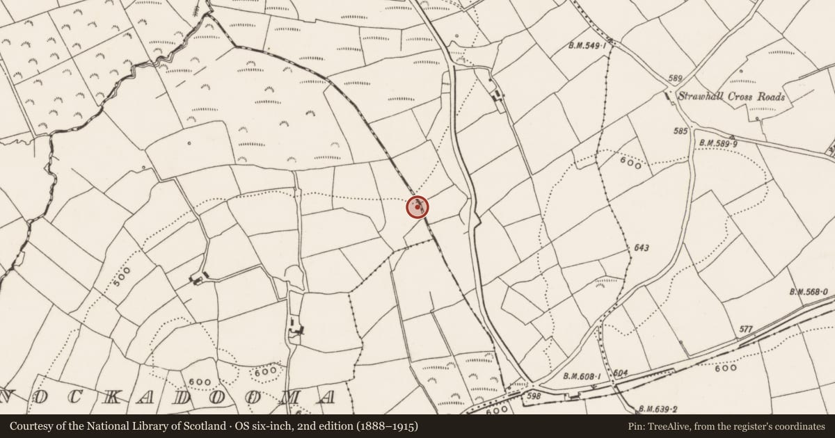 Ordnance Survey six-inch map, 2nd edition (1888–1915) covering the location of Fulacht fia, Knockadooma, County Cork, with a pin at the register's coordinates