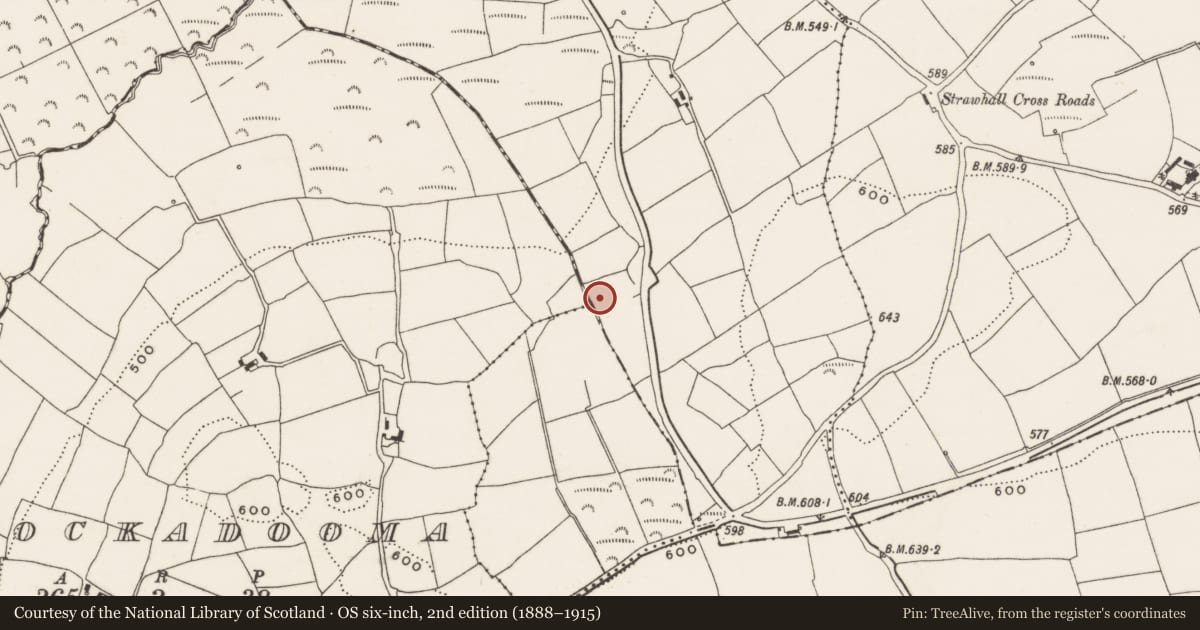 Ordnance Survey six-inch map, 2nd edition (1888–1915) covering the location of Fulacht fia, Carrigeen, County Cork, with a pin at the register's coordinates