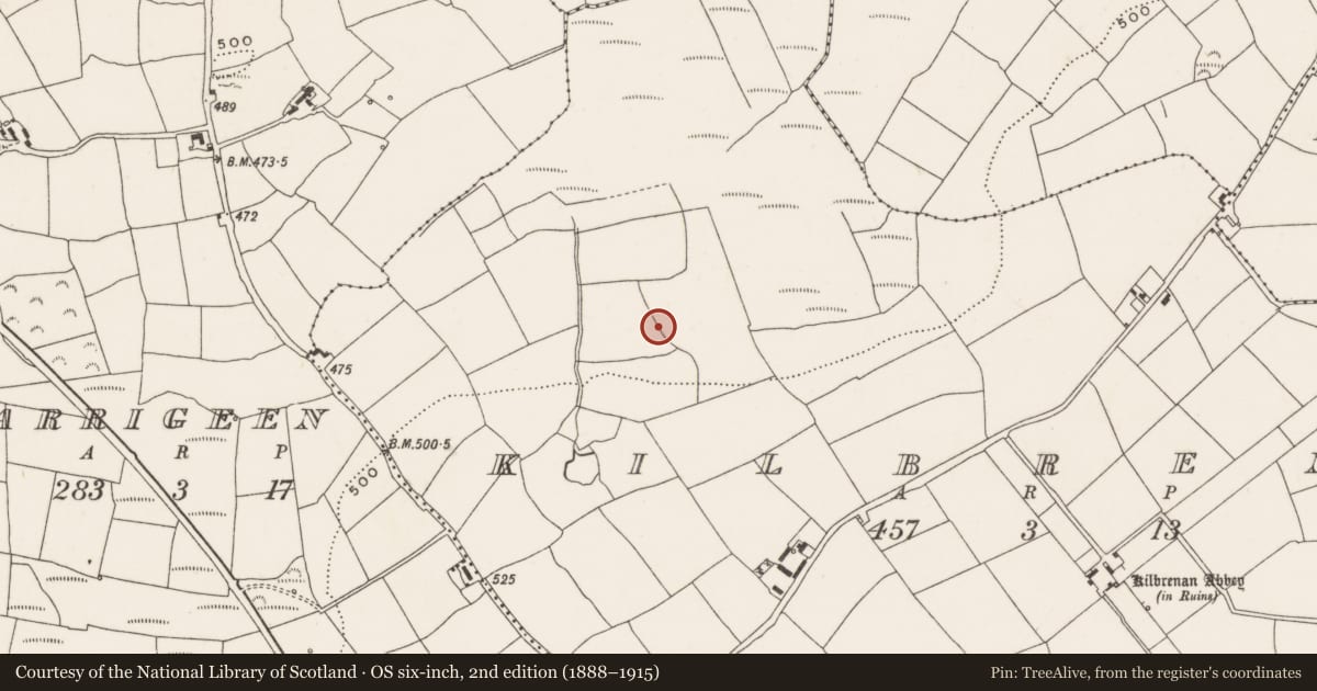 Ordnance Survey six-inch map, 2nd edition (1888–1915) covering the location of Fulacht fia, Kilbrenan, County Cork, with a pin at the register's coordinates