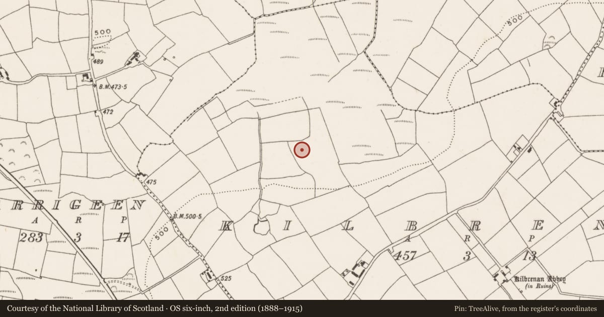 Ordnance Survey six-inch map, 2nd edition (1888–1915) covering the location of Fulacht fia, Kilbrenan, County Cork, with a pin at the register's coordinates