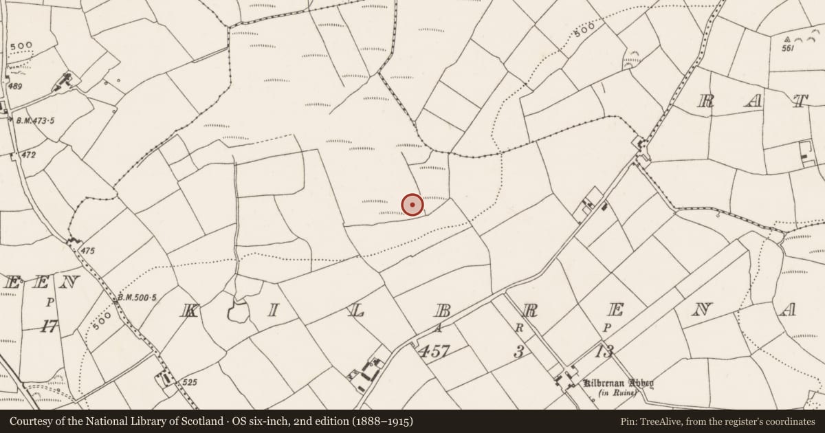 Ordnance Survey six-inch map, 2nd edition (1888–1915) covering the location of Fulacht fia, Kilbrenan, County Cork, with a pin at the register's coordinates