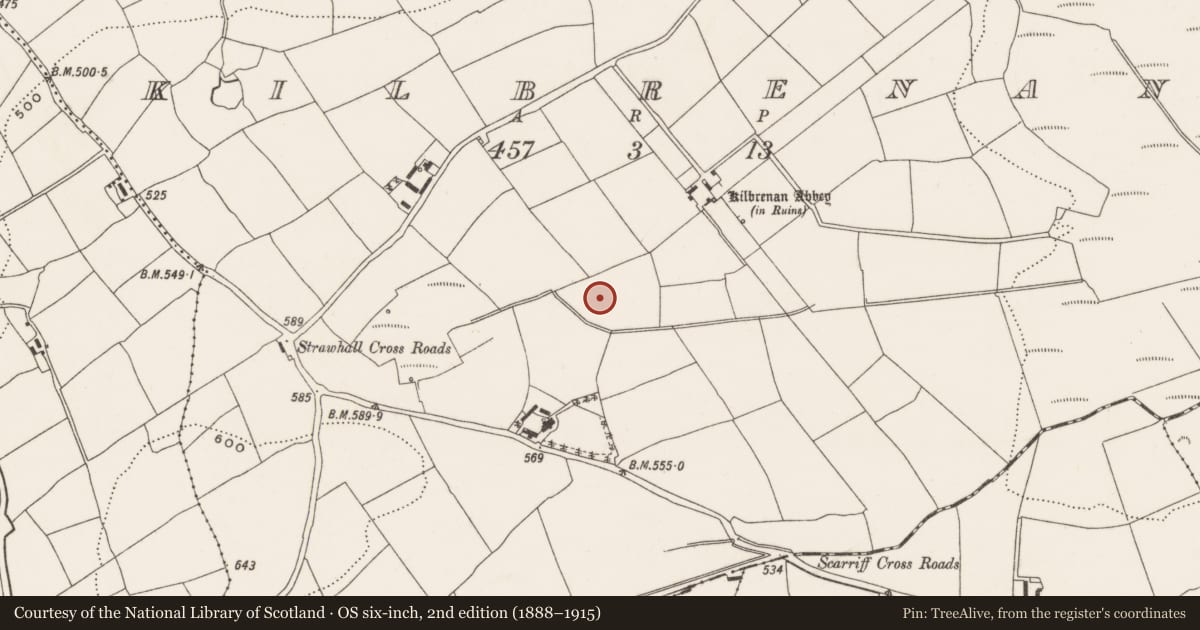 Ordnance Survey six-inch map, 2nd edition (1888–1915) covering the location of Fulacht fia, Kilbrenan, County Cork, with a pin at the register's coordinates