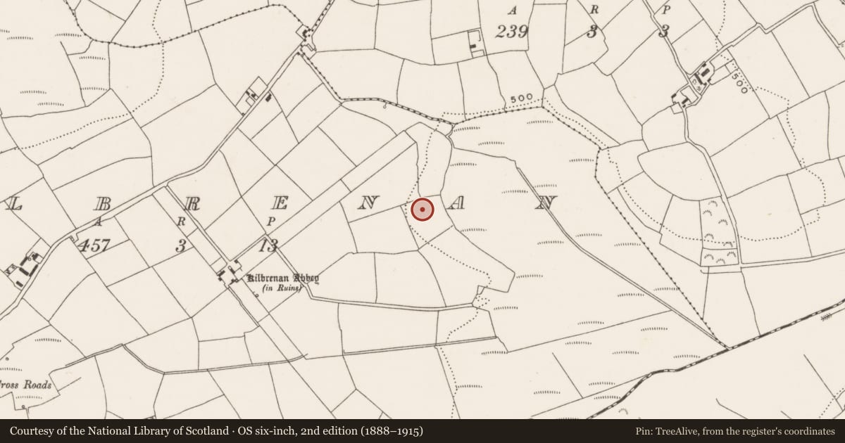Ordnance Survey six-inch map, 2nd edition (1888–1915) covering the location of Fulacht fia, Kilbrenan, County Cork, with a pin at the register's coordinates