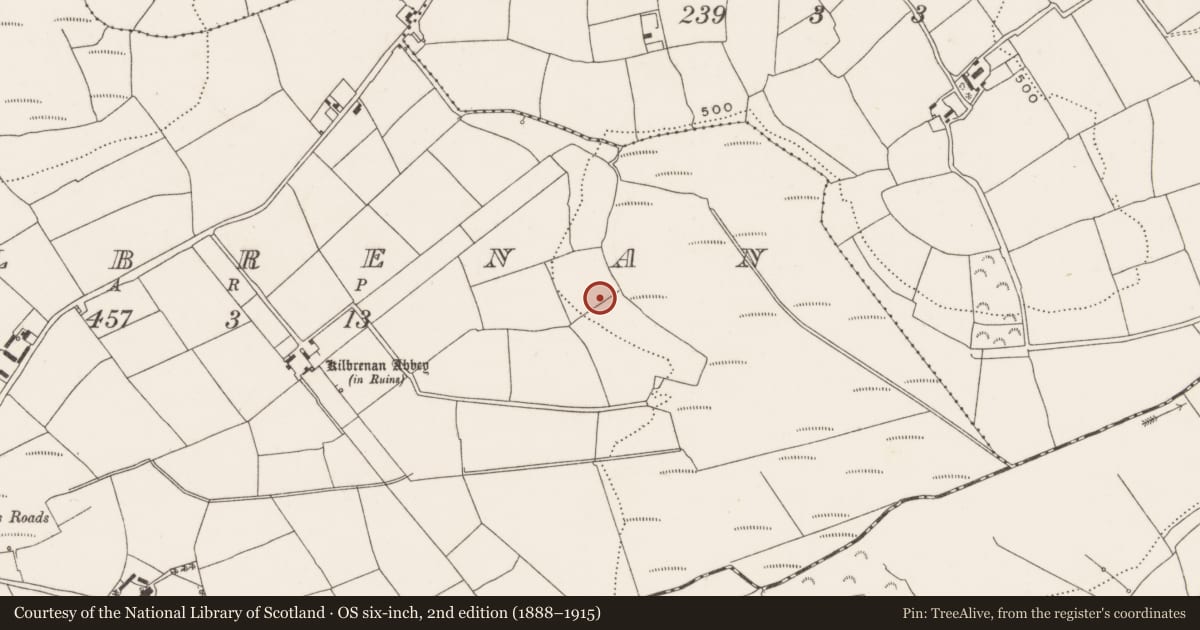 Ordnance Survey six-inch map, 2nd edition (1888–1915) covering the location of Fulacht fia, Kilbrenan, County Cork, with a pin at the register's coordinates