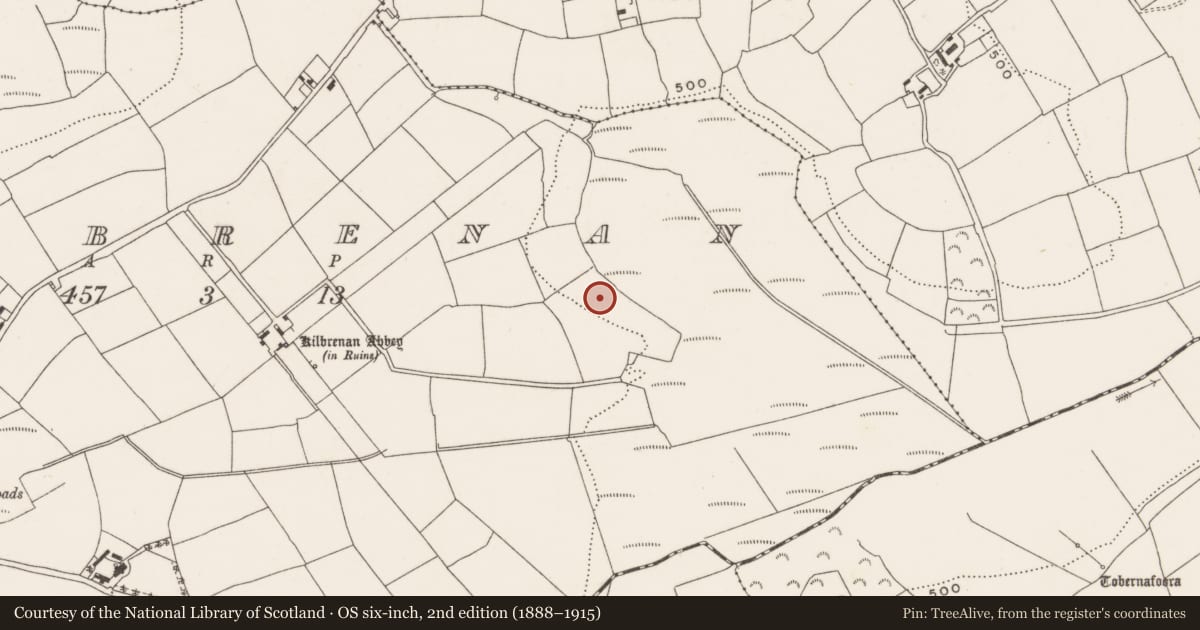 Ordnance Survey six-inch map, 2nd edition (1888–1915) covering the location of Fulacht fia, Kilbrenan, County Cork, with a pin at the register's coordinates