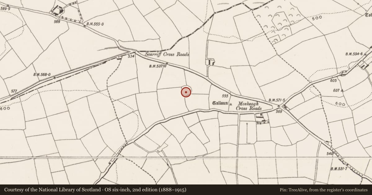 Ordnance Survey six-inch map, 2nd edition (1888–1915) covering the location of Ringfort - rath, Moskeagh, County Cork, with a pin at the register's coordinates