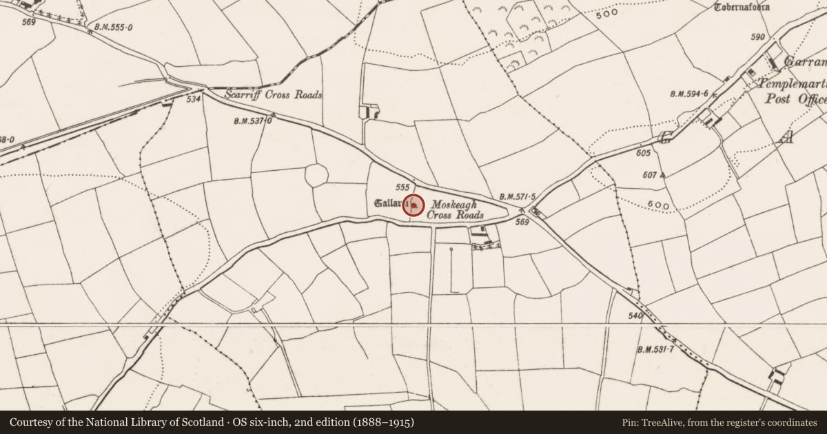 Ordnance Survey six-inch map, 2nd edition (1888–1915) covering the location of Enclosure, Moskeagh, County Cork, with a pin at the register's coordinates