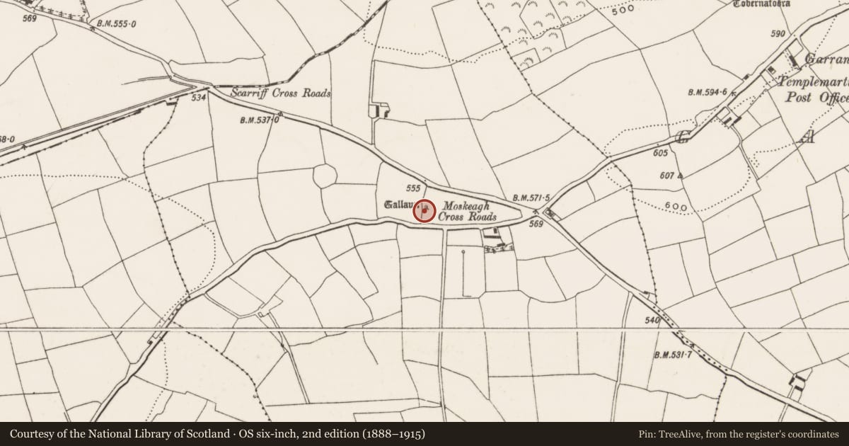 Ordnance Survey six-inch map, 2nd edition (1888–1915) covering the location of Standing stone, Moskeagh, County Cork, with a pin at the register's coordinates