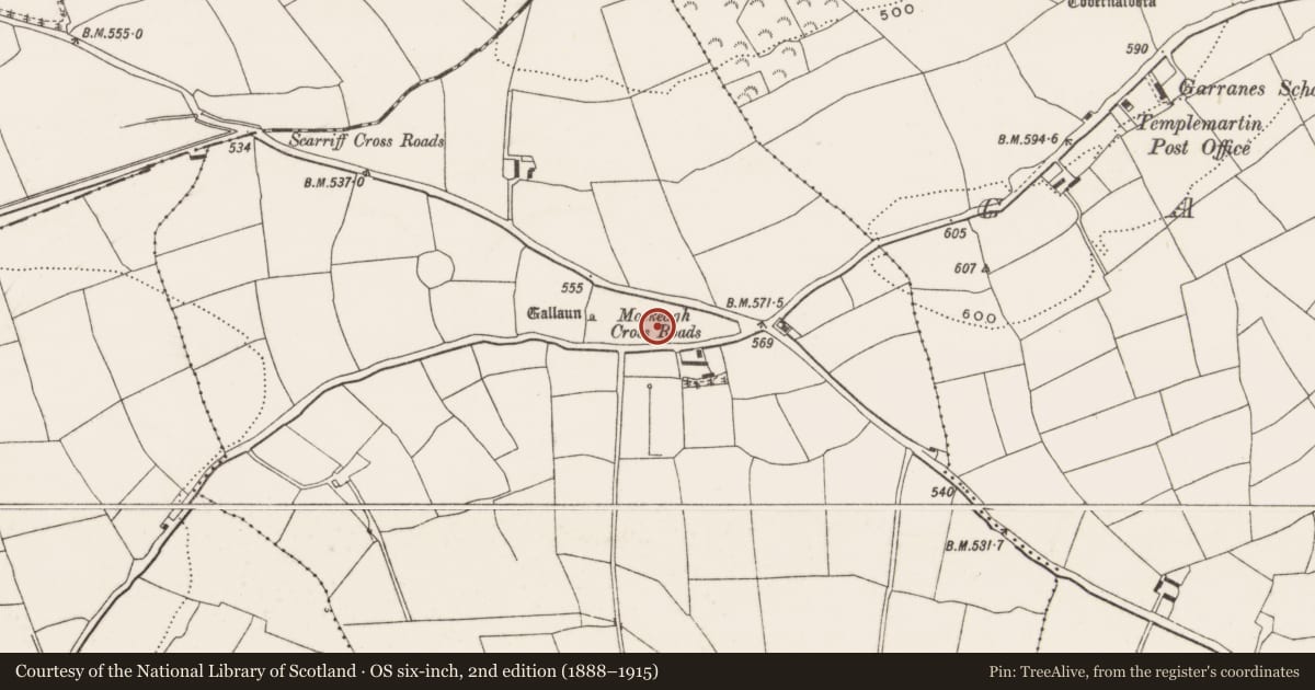 Ordnance Survey six-inch map, 2nd edition (1888–1915) covering the location of Standing stone, Moskeagh, County Cork, with a pin at the register's coordinates