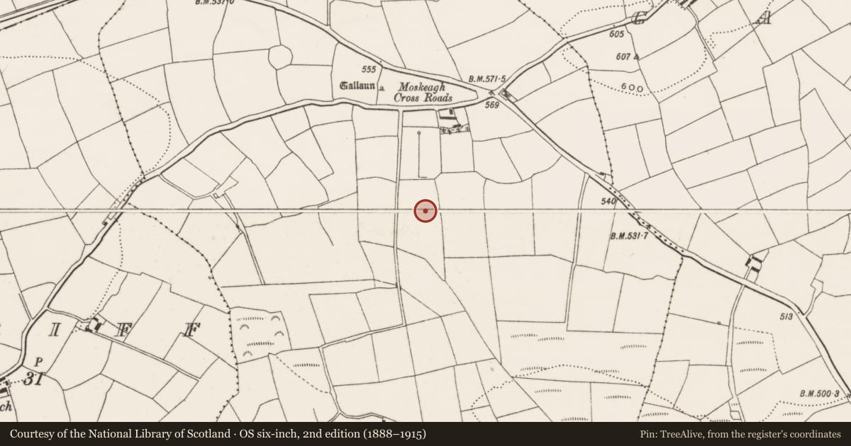 Ordnance Survey six-inch map, 2nd edition (1888–1915) covering the location of Fulacht fia, Moskeagh, County Cork, with a pin at the register's coordinates
