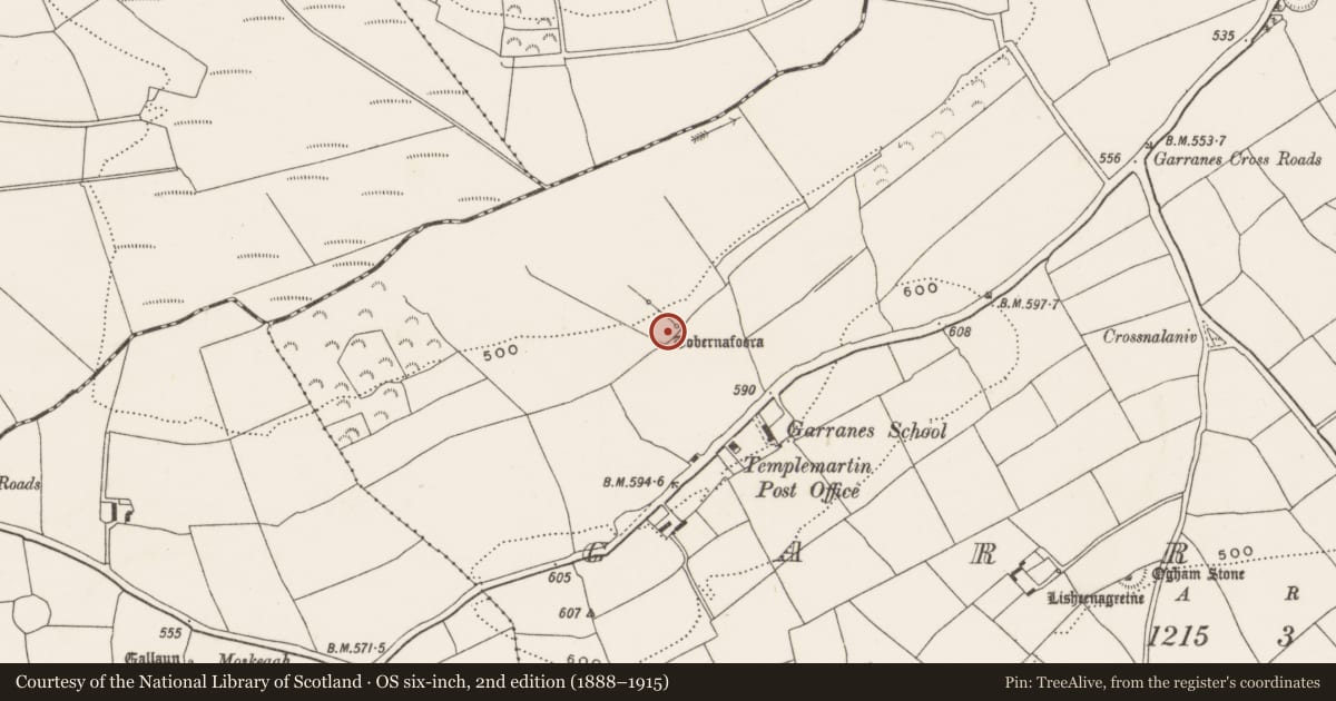 Ordnance Survey six-inch map, 2nd edition (1888–1915) covering the location of Fulacht fia, Garranes, County Cork, with a pin at the register's coordinates