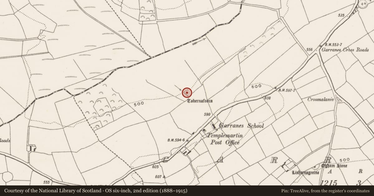 Ordnance Survey six-inch map, 2nd edition (1888–1915) covering the location of Fulacht fia, Garranes, County Cork, with a pin at the register's coordinates