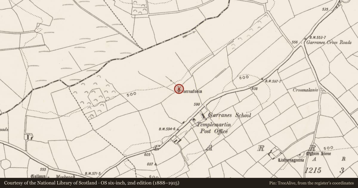Ordnance Survey six-inch map, 2nd edition (1888–1915) covering the location of Ritual site - holy well, Garranes, County Cork, with a pin at the register's coordinates