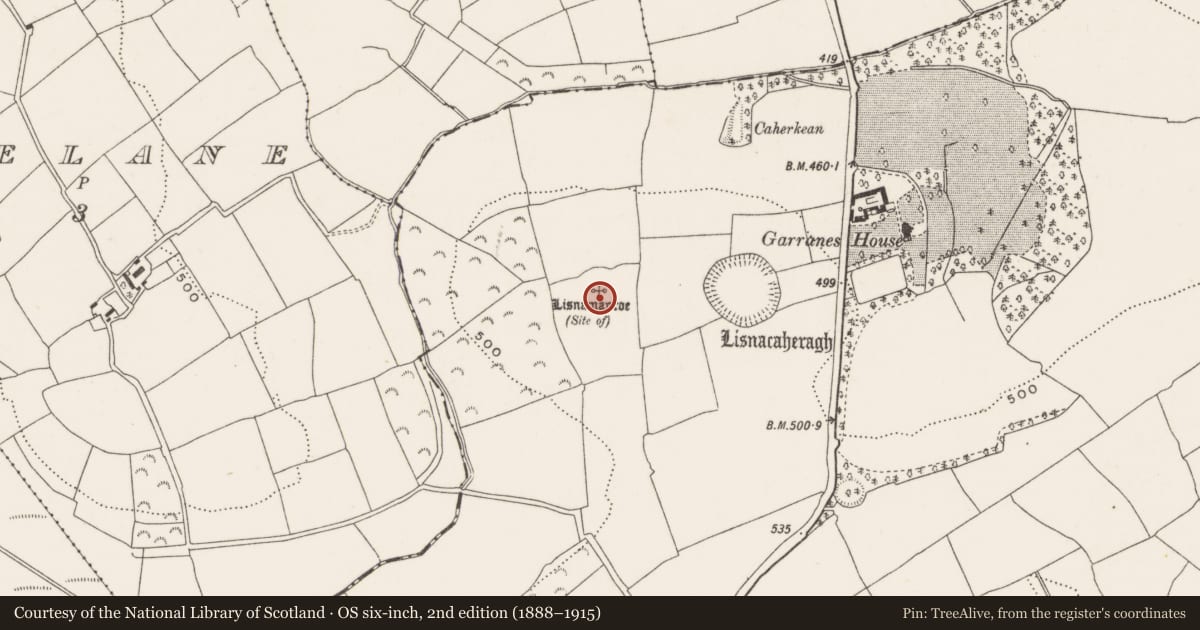 Ordnance Survey six-inch map, 2nd edition (1888–1915) covering the location of Ringfort - rath, Garranes, County Cork, with a pin at the register's coordinates