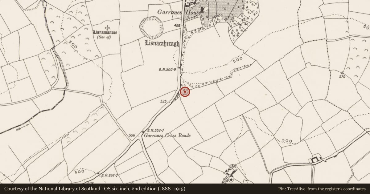 Ordnance Survey six-inch map, 2nd edition (1888–1915) covering the location of Ringfort - rath, Garranes, County Cork, with a pin at the register's coordinates