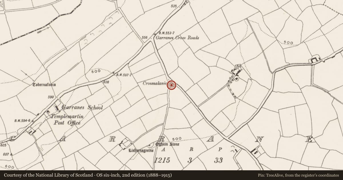 Ordnance Survey six-inch map, 2nd edition (1888–1915) covering the location of Burial ground, Garranes, County Cork, with a pin at the register's coordinates