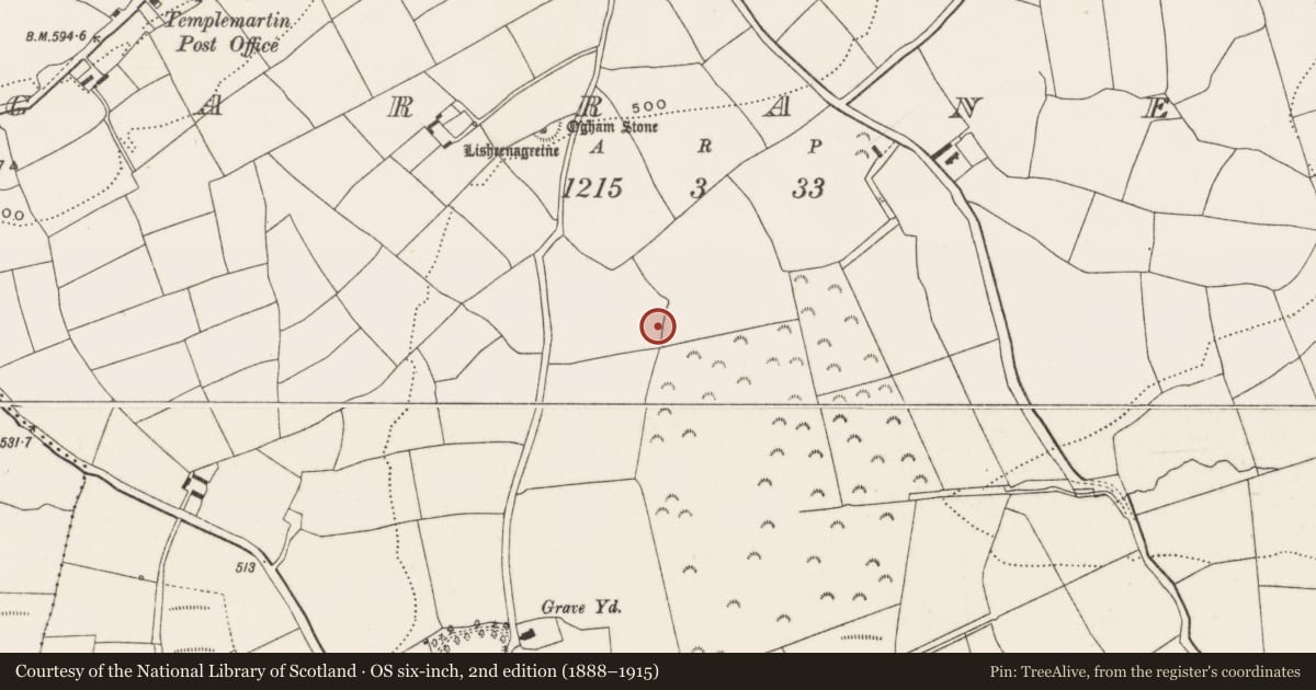 Ordnance Survey six-inch map, 2nd edition (1888–1915) covering the location of Fulacht fia, Garranes, County Cork, with a pin at the register's coordinates