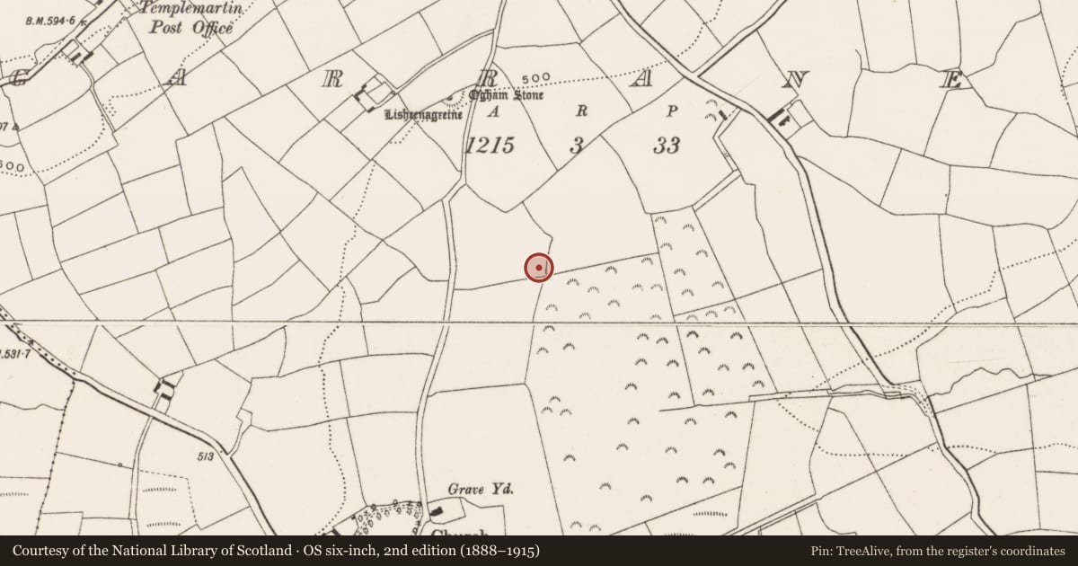Ordnance Survey six-inch map, 2nd edition (1888–1915) covering the location of Fulacht fia, Garranes, County Cork, with a pin at the register's coordinates