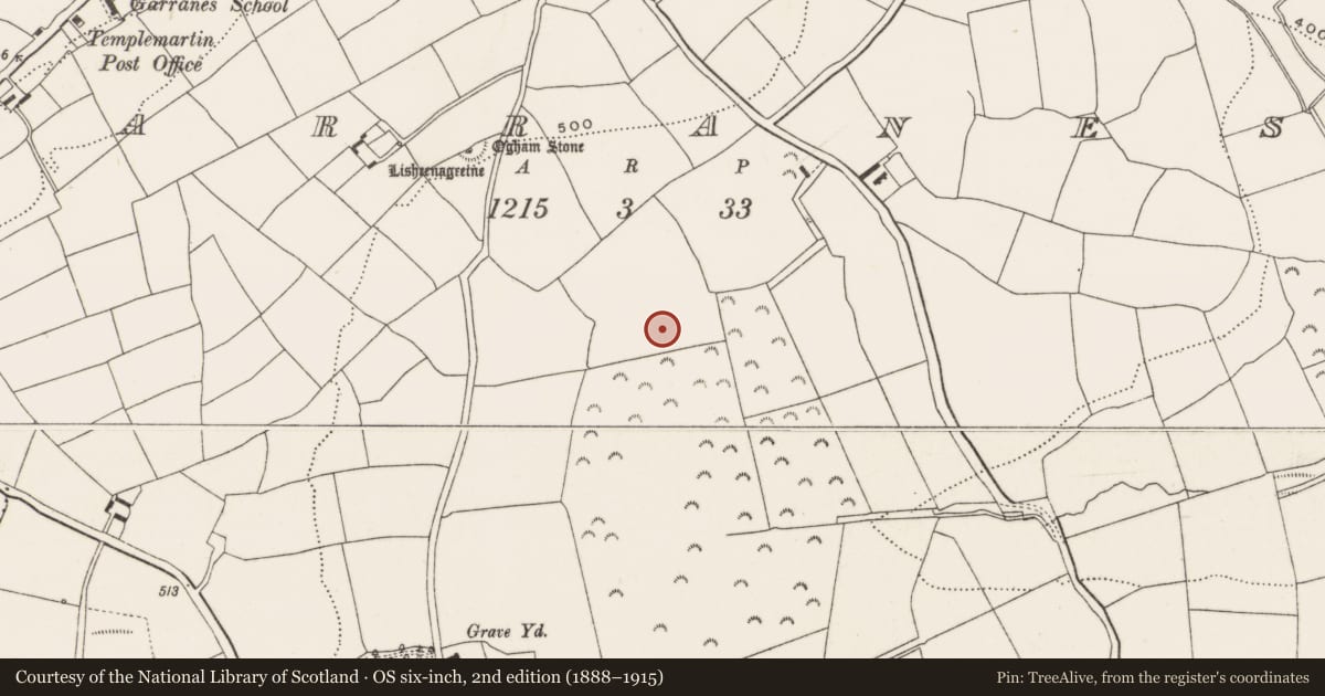 Ordnance Survey six-inch map, 2nd edition (1888–1915) covering the location of Fulacht fia, Garranes, County Cork, with a pin at the register's coordinates