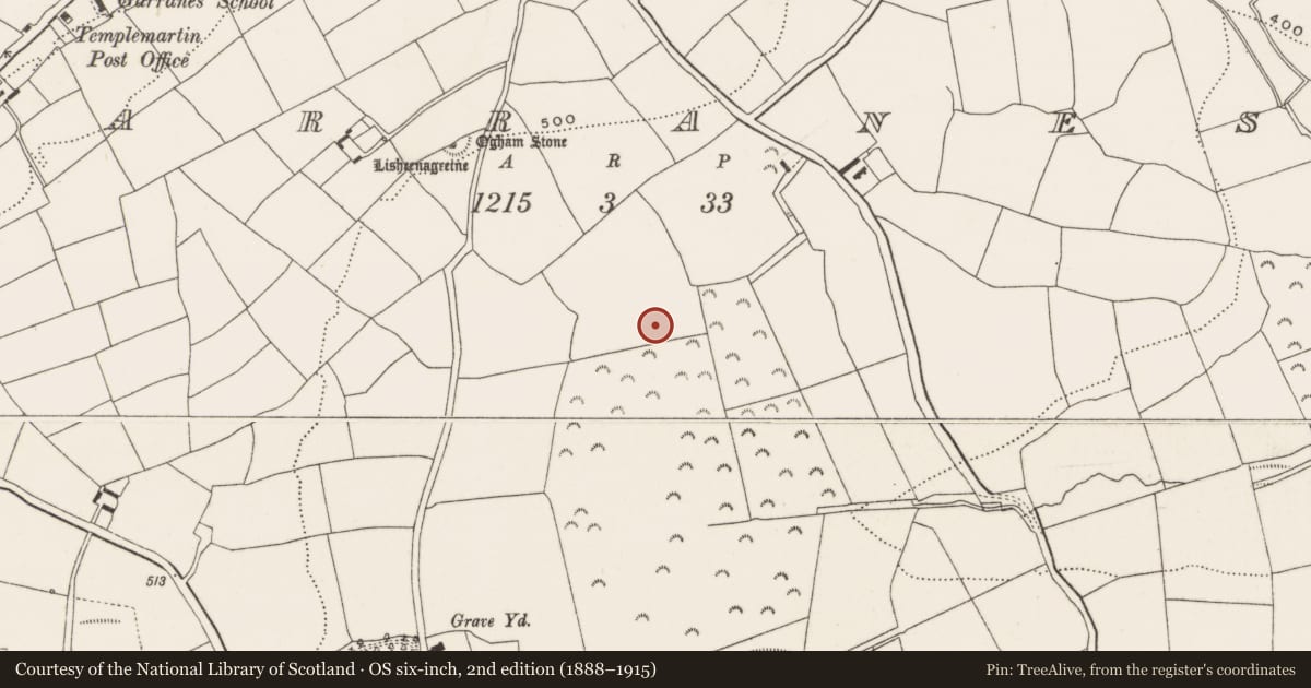 Ordnance Survey six-inch map, 2nd edition (1888–1915) covering the location of Fulacht fia, Garranes, County Cork, with a pin at the register's coordinates