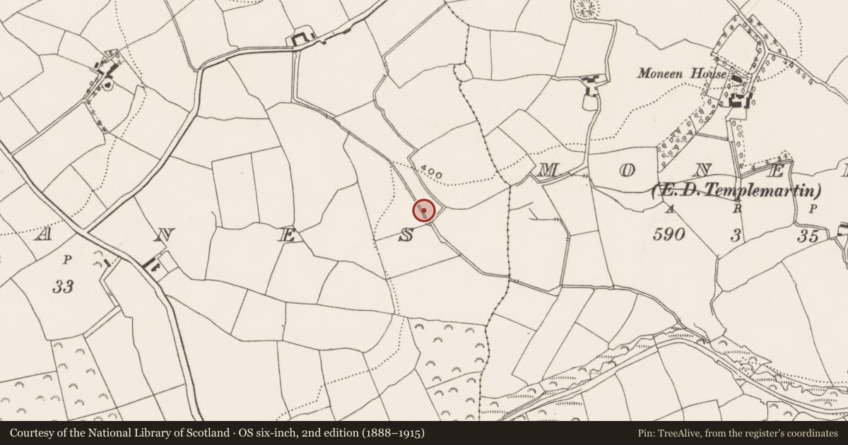 Ordnance Survey six-inch map, 2nd edition (1888–1915) covering the location of Fulacht fia, Garranes, County Cork, with a pin at the register's coordinates