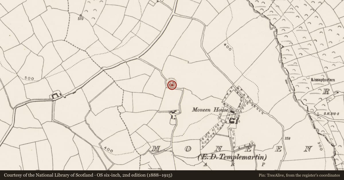 Ordnance Survey six-inch map, 2nd edition (1888–1915) covering the location of Ringfort - rath, Moneen (Kinalmeaky By., Templemartin Par.), County Cork, with a pin at the register's coordinates
