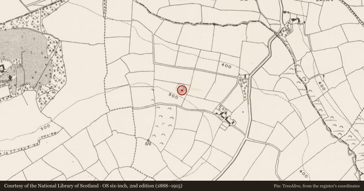 Ordnance Survey six-inch map, 2nd edition (1888–1915) covering the location of Ringfort - rath, Moneen (Kinalmeaky By., Templemartin Par.), County Cork, with a pin at the register's coordinates