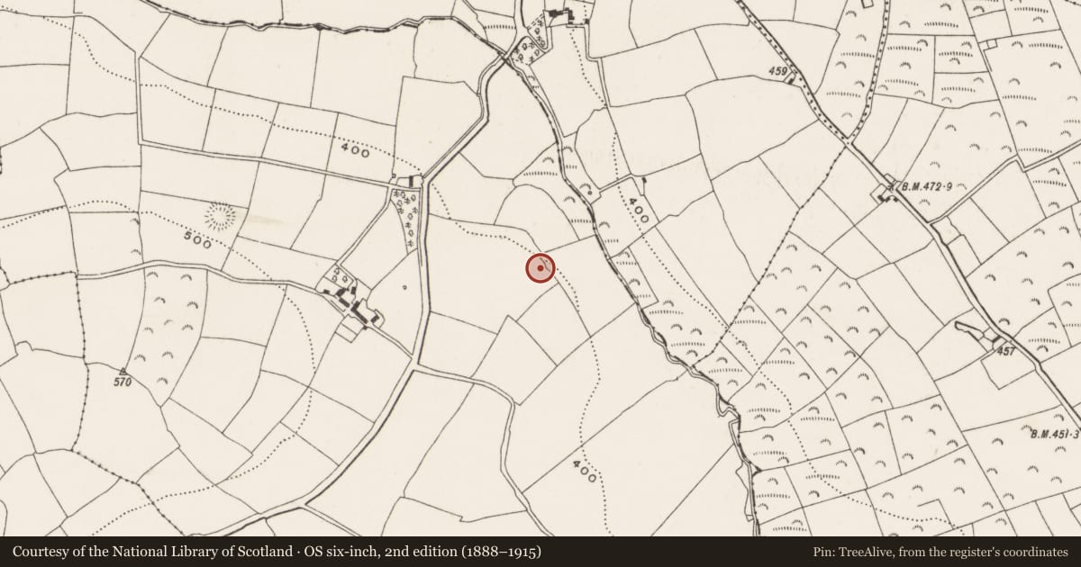 Ordnance Survey six-inch map, 2nd edition (1888–1915) covering the location of Enclosure, Moneen (Kinalmeaky By., Templemartin Par.), County Cork, with a pin at the register's coordinates