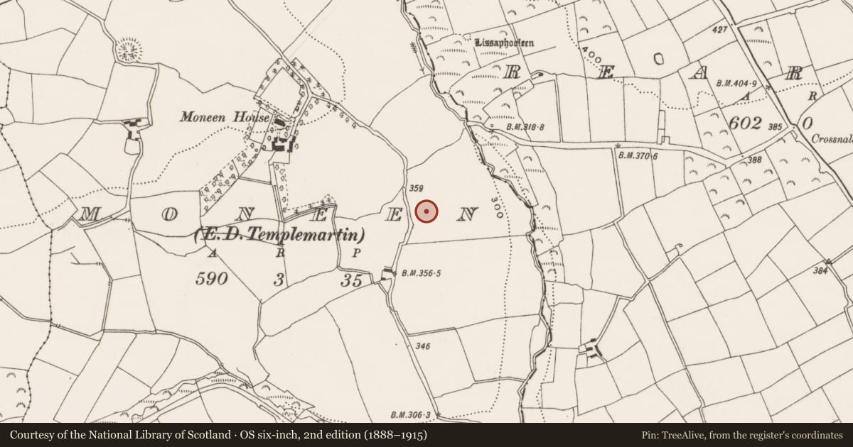 Ordnance Survey six-inch map, 2nd edition (1888–1915) covering the location of Ringfort - rath, Moneen (Kinalmeaky By., Templemartin Par.), County Cork, with a pin at the register's coordinates