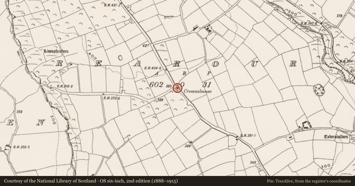 Ordnance Survey six-inch map, 2nd edition (1888–1915) covering the location of Burial ground, Rearour, County Cork, with a pin at the register's coordinates